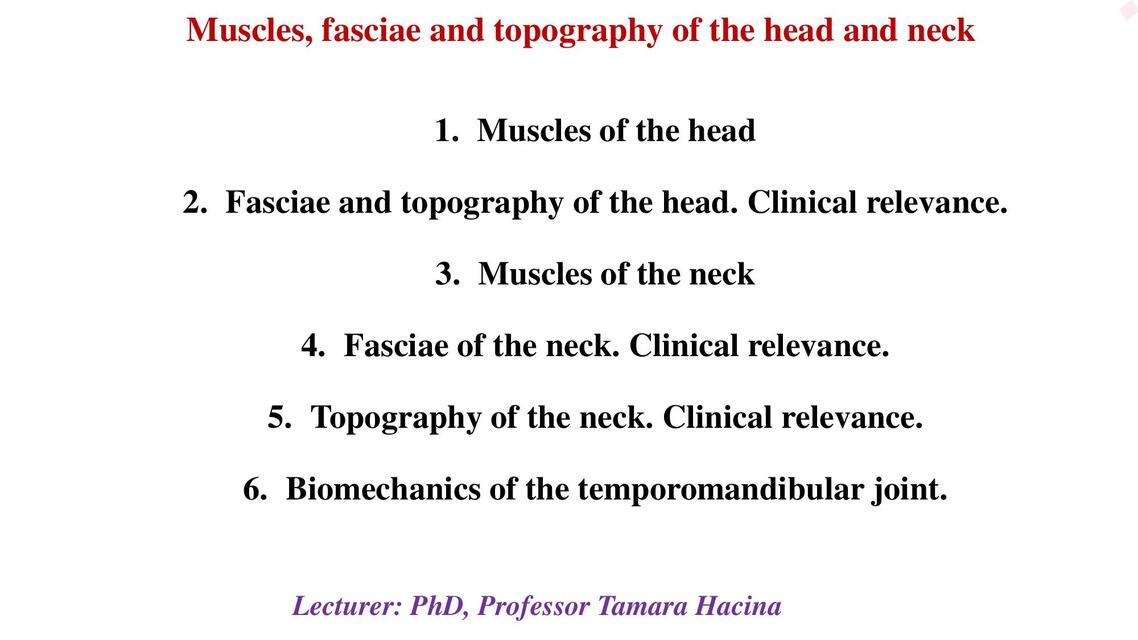 3 MUSCLES TOP OF HEAD