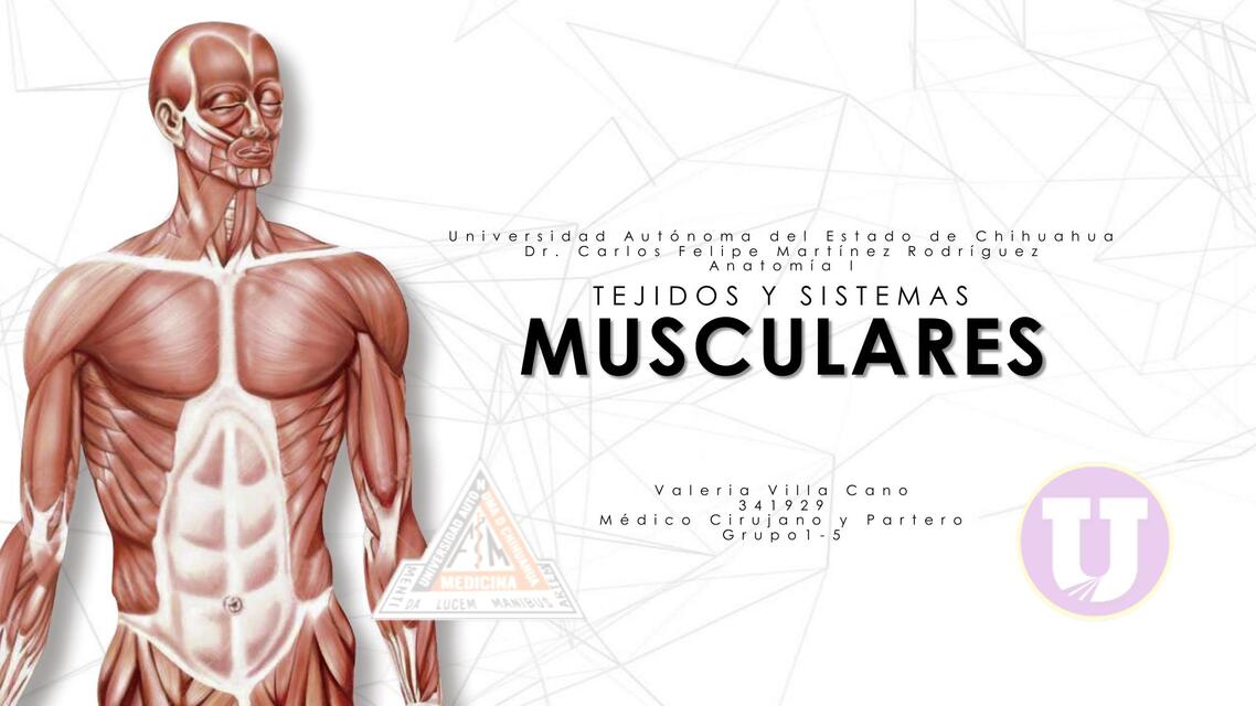 1 3 TEJIDO Y SISTEMAS MUSCULARES CASOS CLÍNICOS