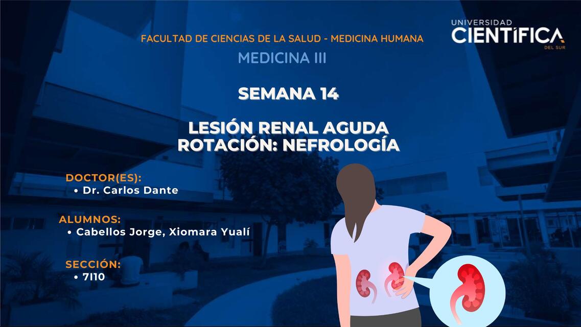 LESION RENAL AGUDA