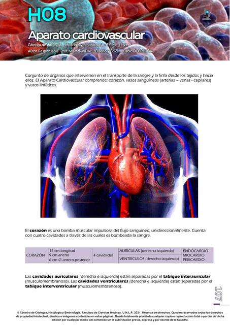 H08 APARATO CARDIOVASCULAR