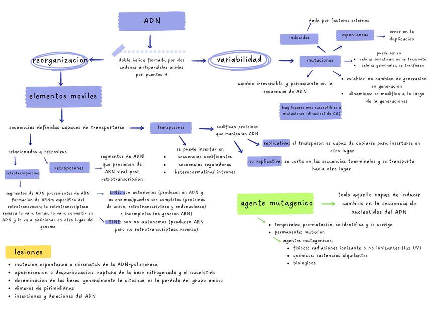 1 mantenimiento y variabilidad del genoma