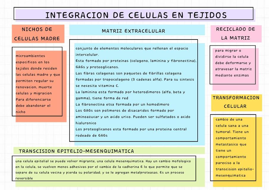 8 integracion en tejidos