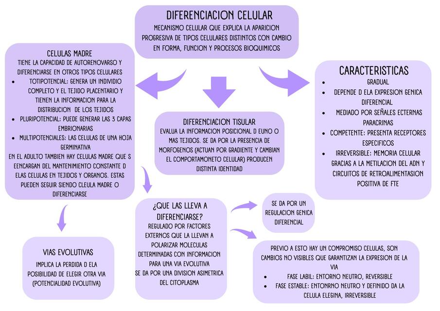 9 diferenciacion