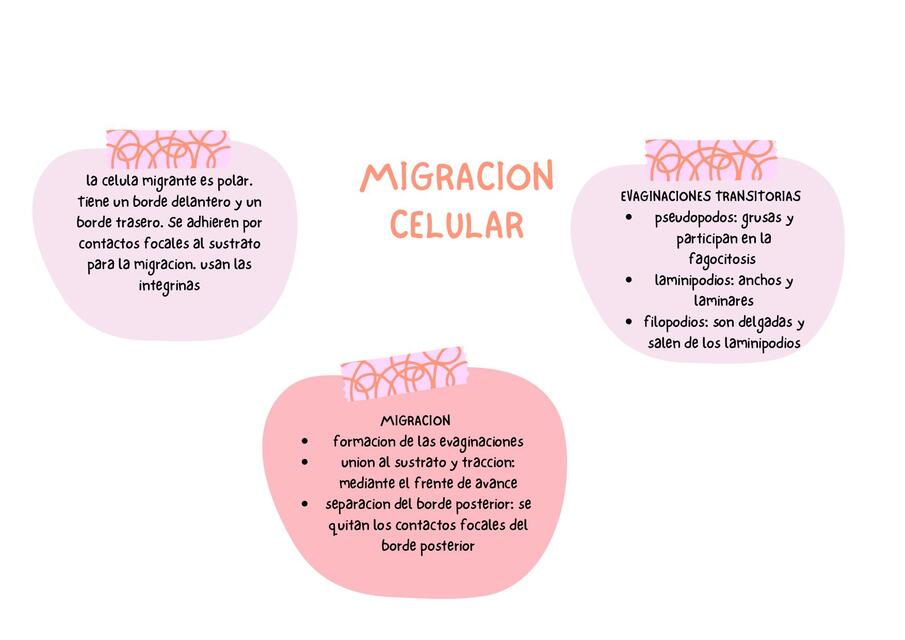 10 migracion