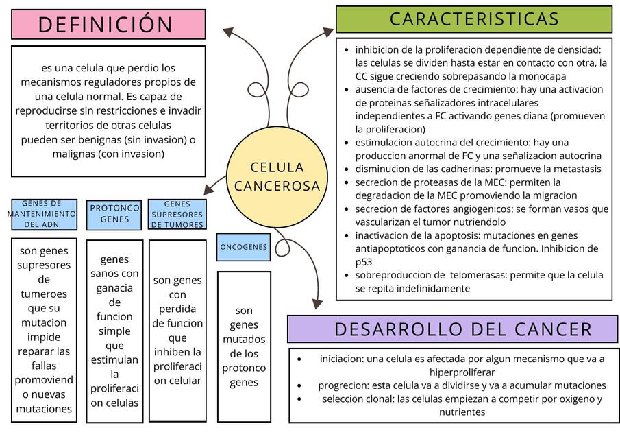 13 celulas tumorales