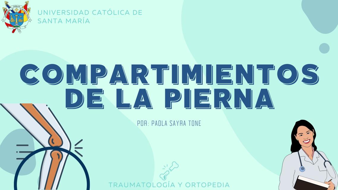 Compartimientos de la Pierna