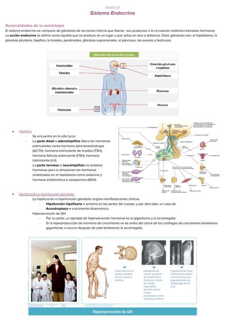 Sistema Endocrino y Reproductor