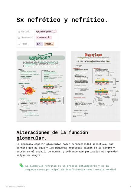 Sx nefrtico y nefrtico