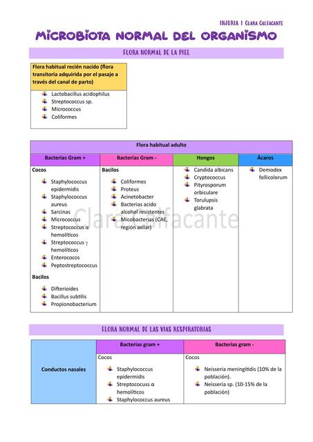 Microbiología: Microbiota normal del organismo - por aparato y sistema.