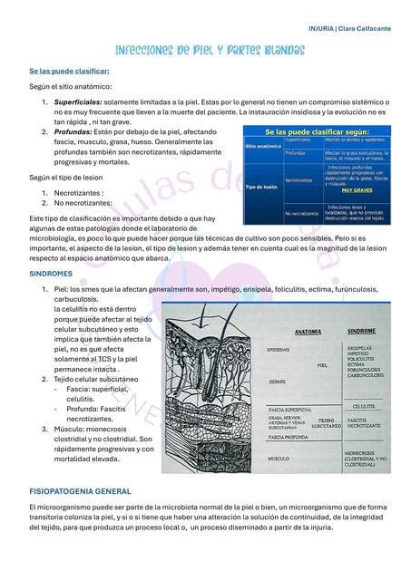 Microbiología: infecciones de piel y partes blandas