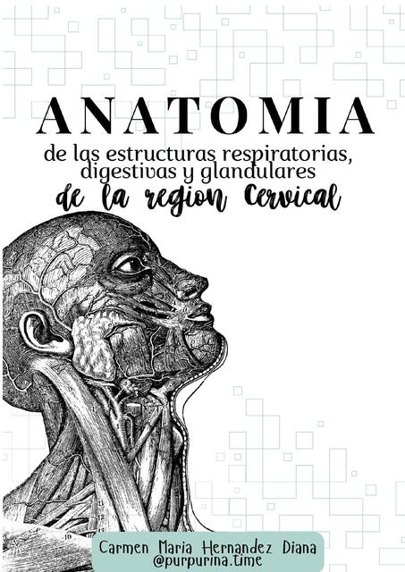 Manual de Anatomía de las estructuras respiratorias digestivas y glandulares de la región cervical