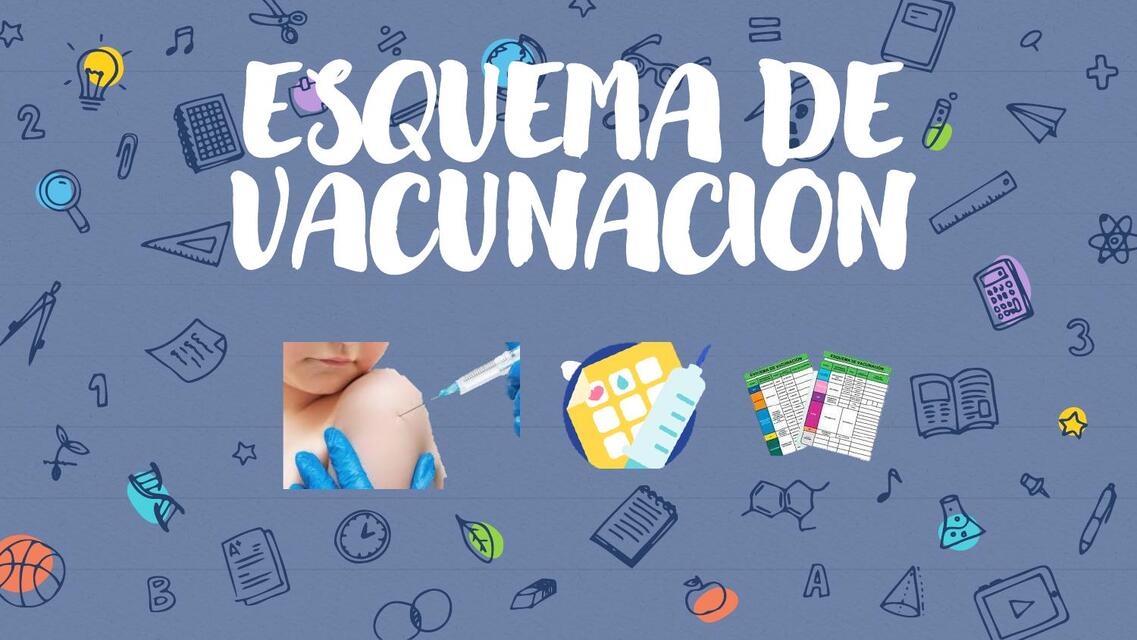 24 ESQUEMA DE VACUNACION