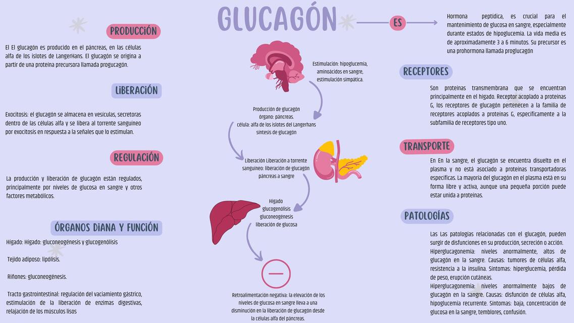 Glucagón