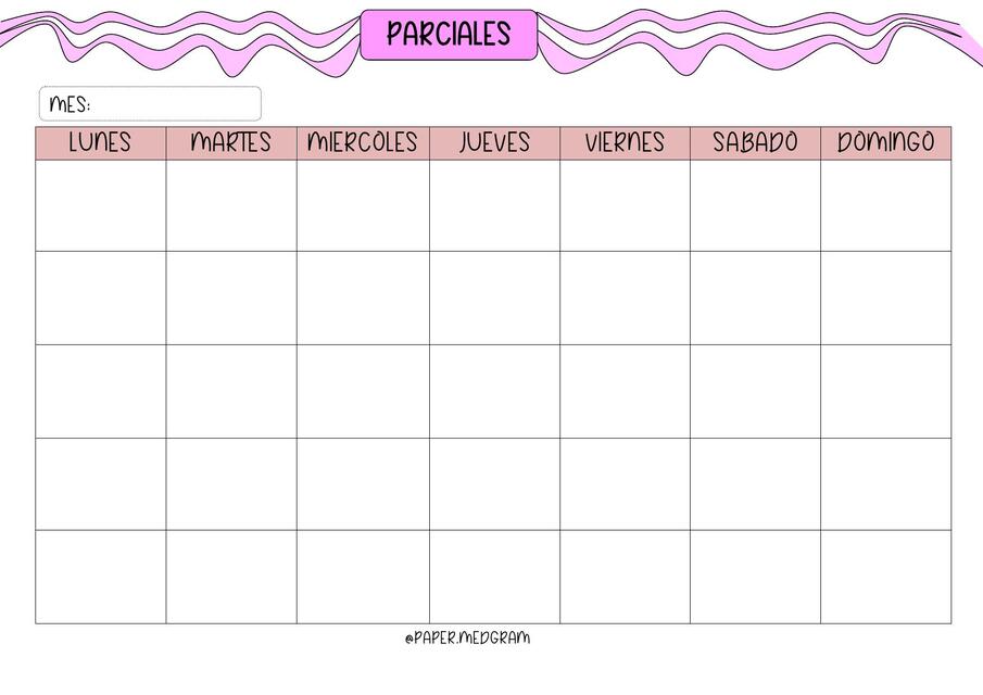 CALENDARIO PARCIALES PAPER8