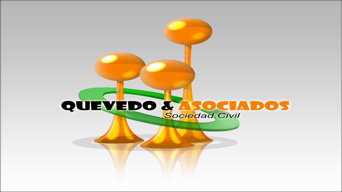 CONSTITUCION DE UNA EMPRESA: SOCIEDAD CIVIL