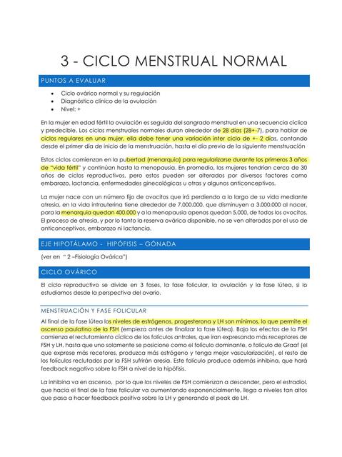 Ciclo Menstrual