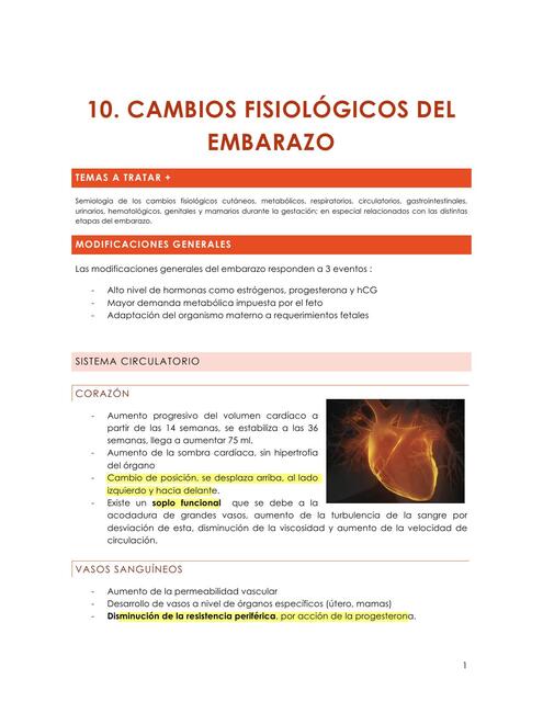 Cambios Fisiológicos del Embarazo