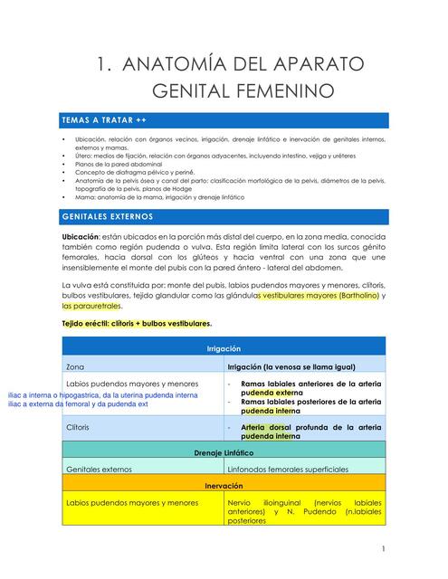 Anatomia Del Aparato Genital Femenino