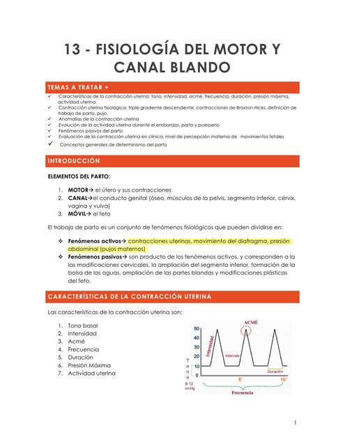 Fisiología del motor y canal blando