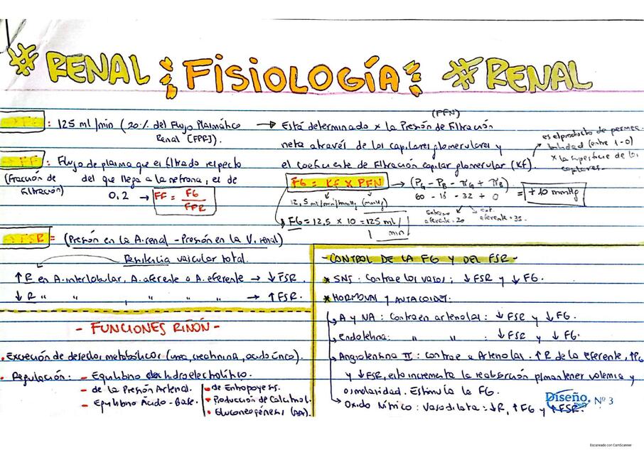 Ficha fisiología renal (clearence)