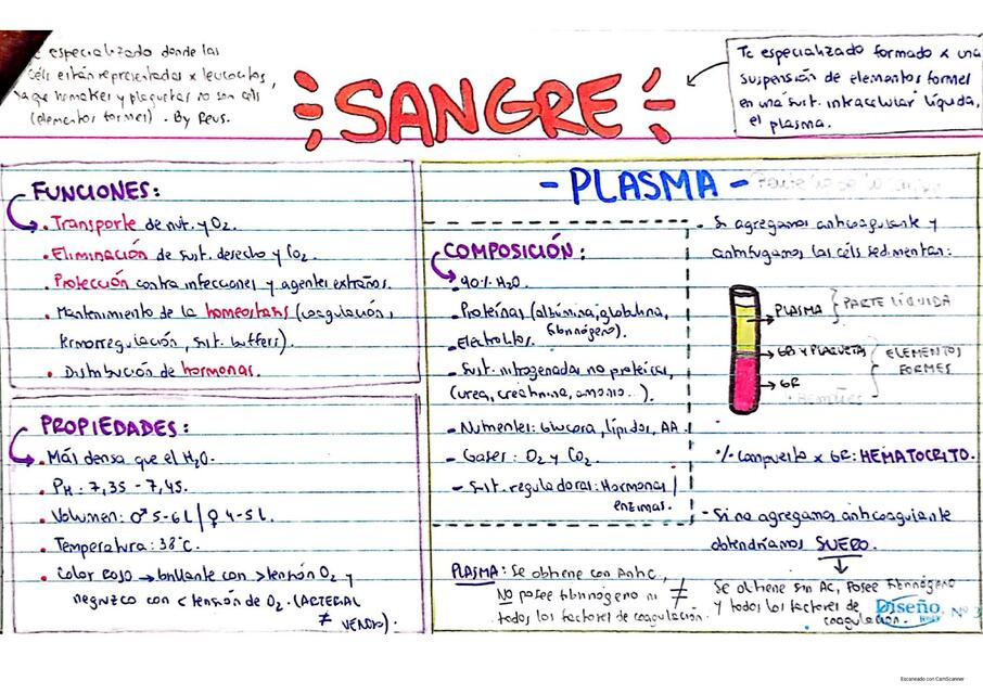 Ficha HISTOLOGIA de sangre