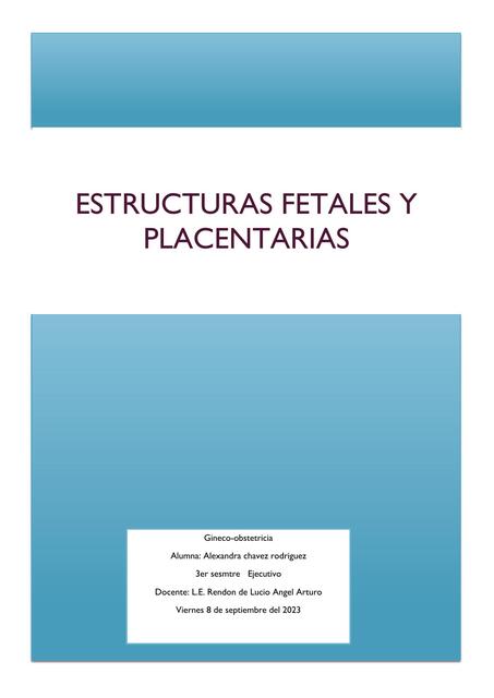 estructuras fetales y placentaria