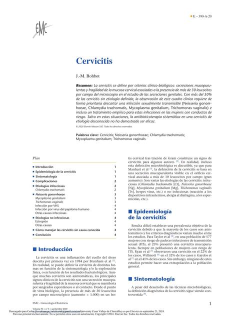 ARTICULO CERVICITIS