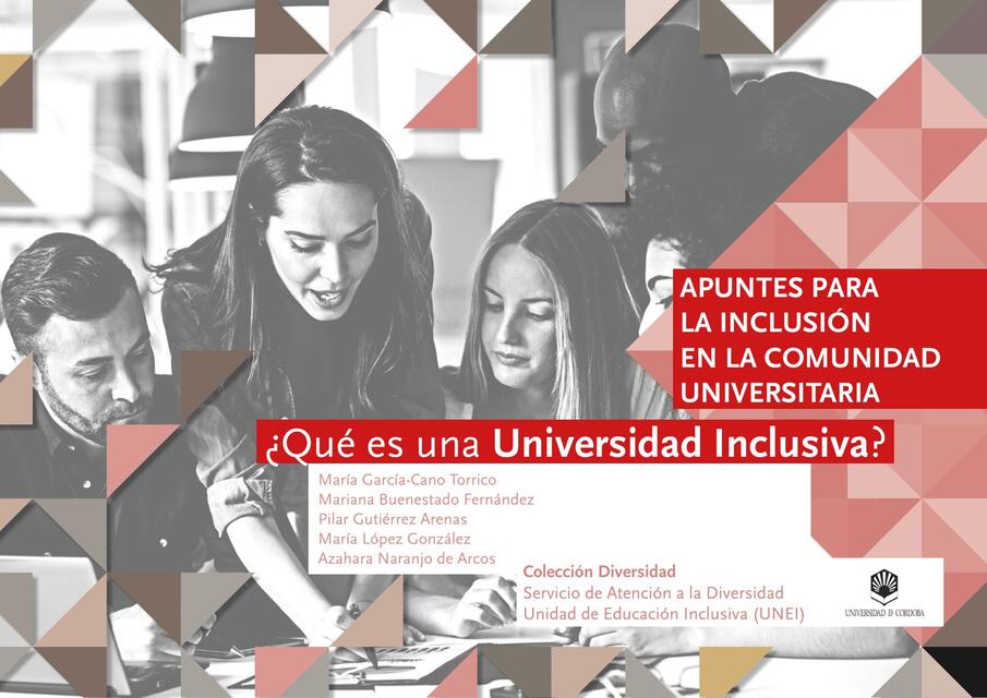 Que es una universidad inclusiva 