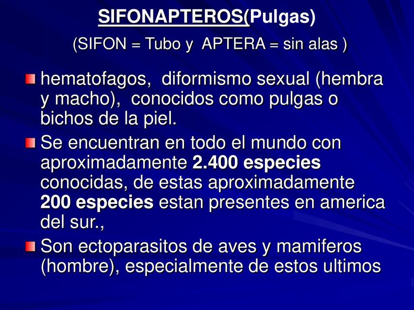 SIFONAPTEROS PULGAS