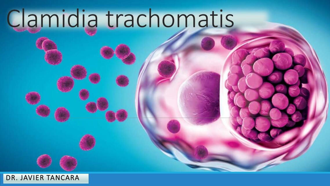 Clamidia trachomatis