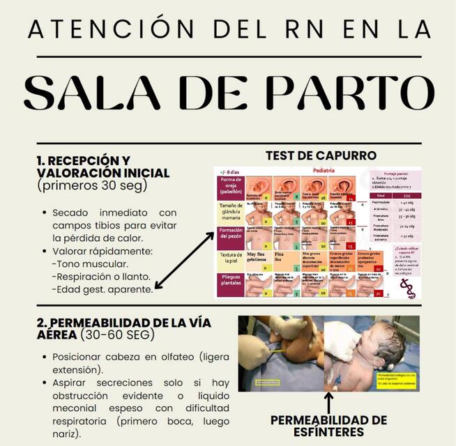 Atención del RN en la sala de parto