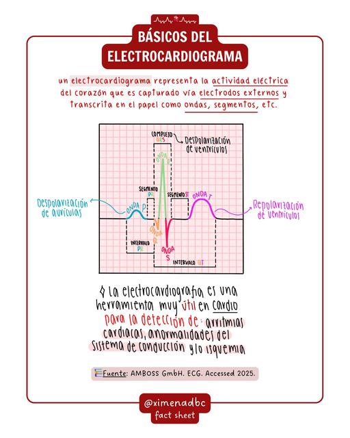 Básicos del ECG