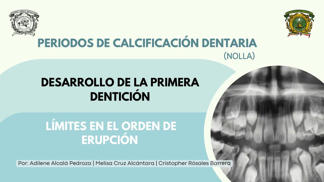 PERIODOS DE CALCIFICACIÓN, PRIMERA DENTICIÓN