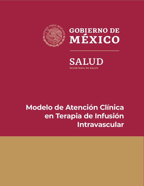 Modelo de Atenci n Cl nica en Terapia de Infusion