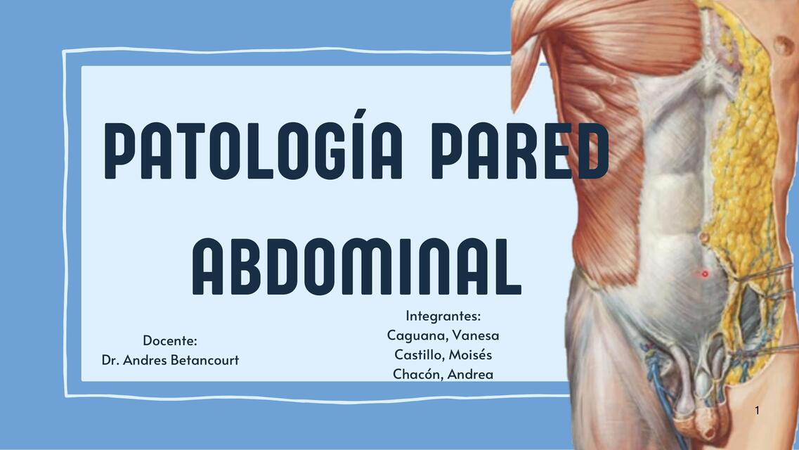 Pared abdominal cirugia