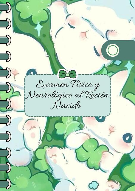 Examen Físico y Neurológico al Recién Nacido