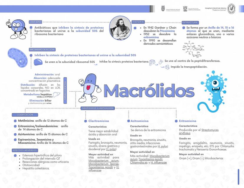 Macrolidos