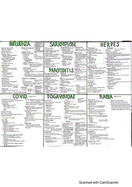 Virus tabla