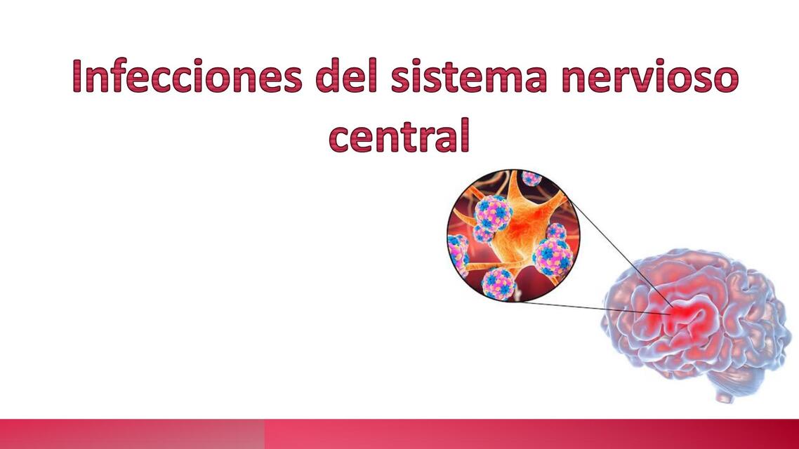 Infecciones del sistema nervioso central