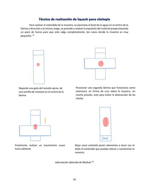 Técnica de realización de Squash para citología @CHICAVETERINARIA