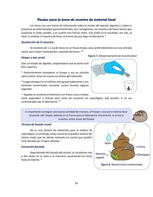 Pautas para la toma de muestra de material fecal