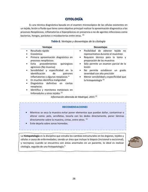 Citología PAF PAAF CHICAVETERINARIA