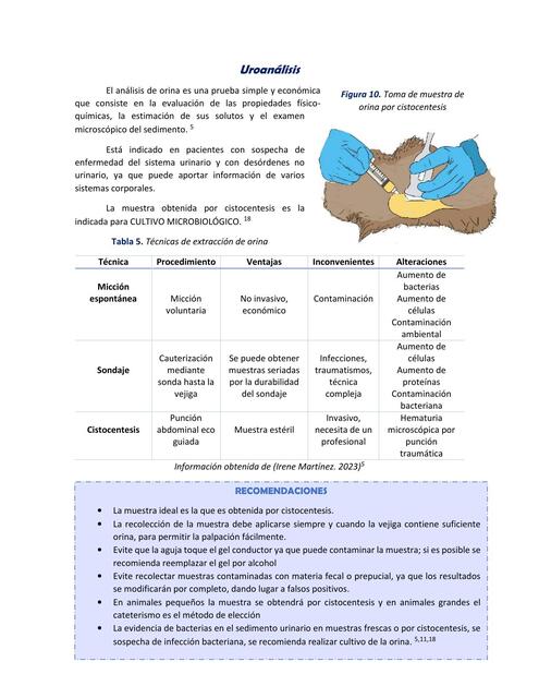 Pautas para la toma de muestra para uroanalisis