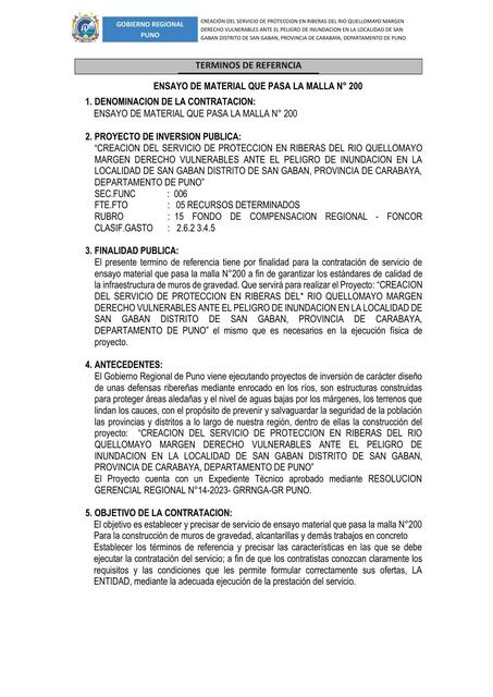 TDR SERVICIO DE ENSAYO MATERIAL QUE PASA LA MALLA | Luis | uDocz