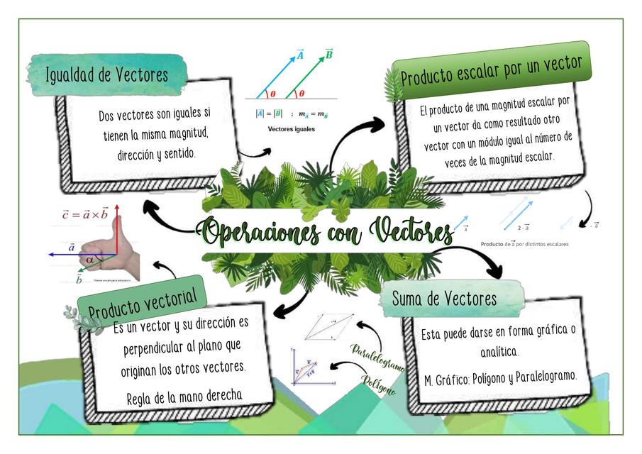 Operaciones con Vectores