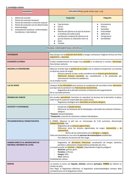 Semiologia Cutánea: Lesiones Elementales