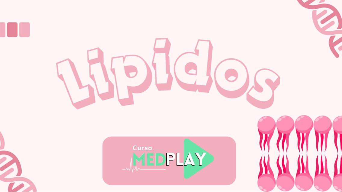 Lipidos