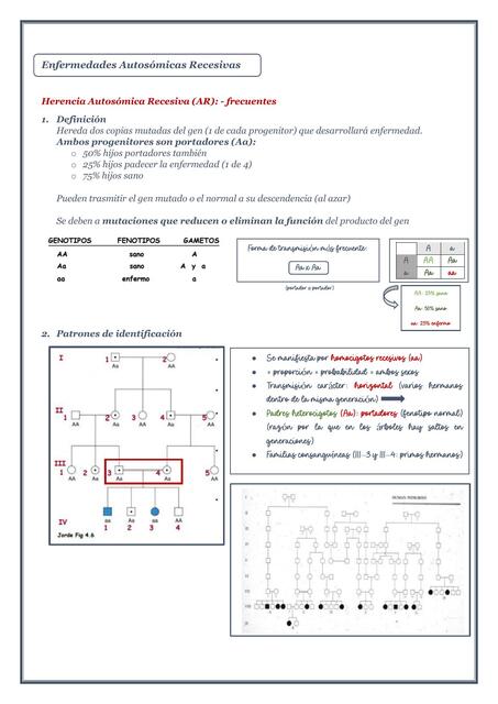 GENÉTICA - Enfermedades Autosómicas Recesivas