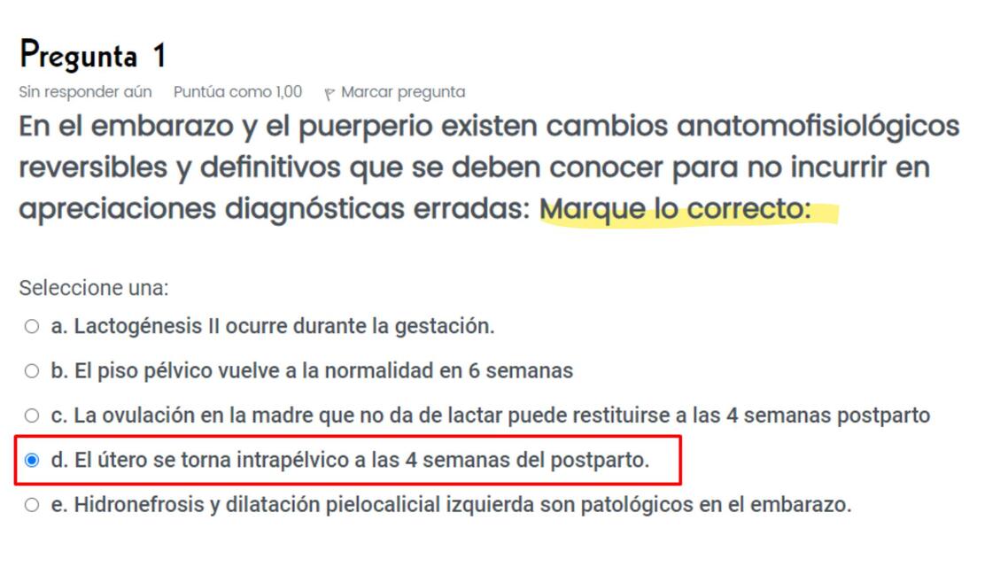 Primer examen de obstetricia