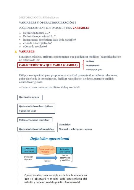 METODOLOGÍA - VARIABLES Y OPERACIONALIZACIÓN